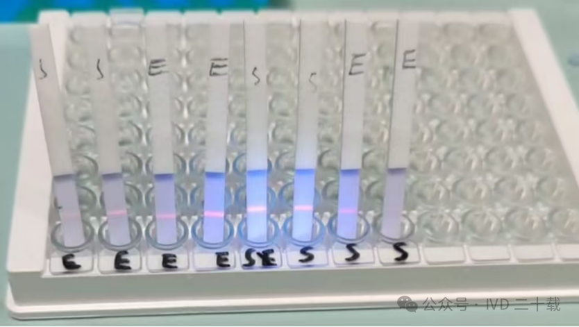 硝酸纤维素膜3
